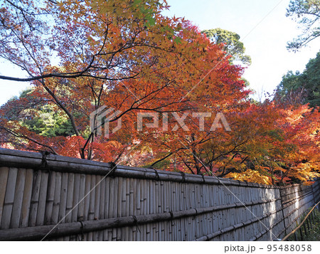 紅葉の徳川園 紅葉の徳川園 95488058