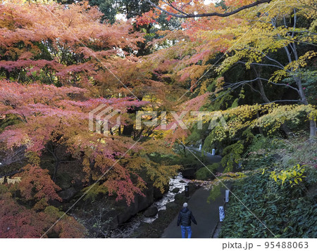 紅葉の徳川園 95488063