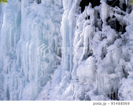 氷瀑のクローズアップ (北海道、白老町、カジカ沢) 95488069