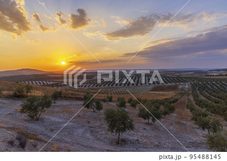 typical Andalusian landscape during sunset, Spain typical Andalusian landscape during sunset, Spain 95488145