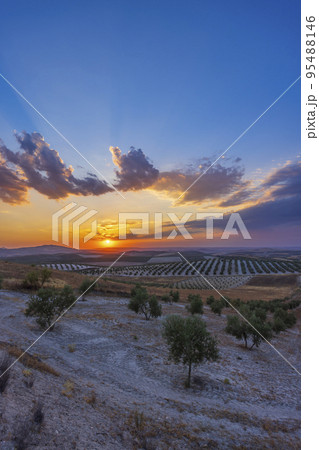 typical Andalusian landscape during sunset, Spain typical Andalusian landscape during sunset, Spain 95488146