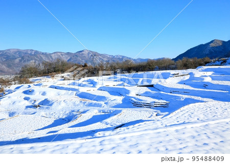 冬の姨捨の棚田 冬の姨捨の棚田 95488409