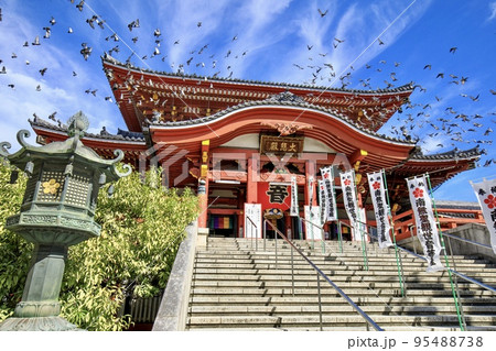 名古屋市　大須観音の本堂（大悲殿）と飛び立つ鳩の群れ 95488738