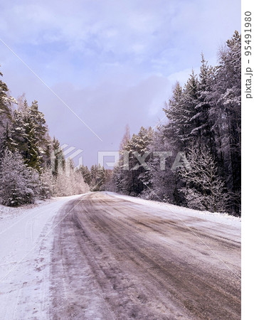 Beginning of winter. First snow on tree branches along road. Studio Photo Beginning of winter. First snow on tree branches along road. Studio Photo 95491980