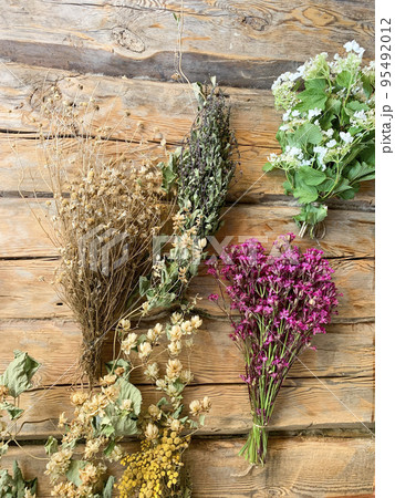 Dried medicinal flowers and herbs on wooden background. Studio Photo 95492012
