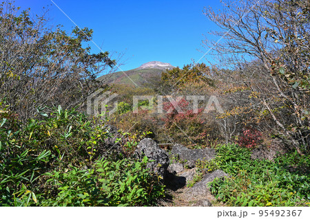 紅葉の栃木県那須 自然研究路の風景 95492367