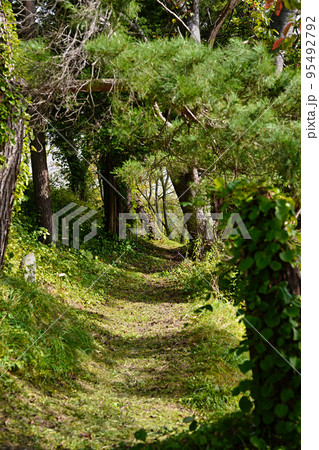 壮瞥公園 三十六童子 95492792