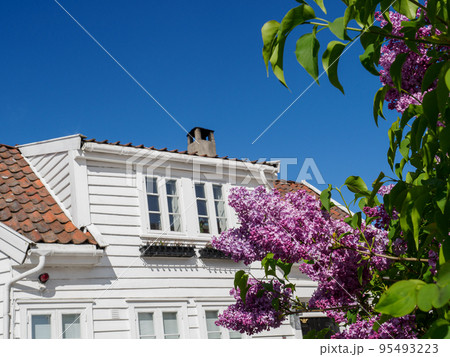 the city of Stavanger in norway 95493223