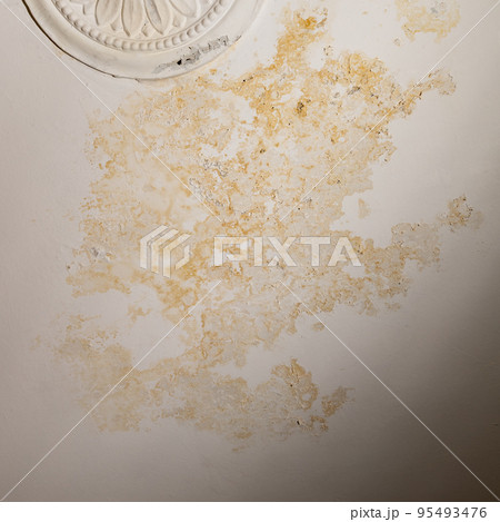 Flooding rainwater, causing damage, peeling paint and mildew. 95493476