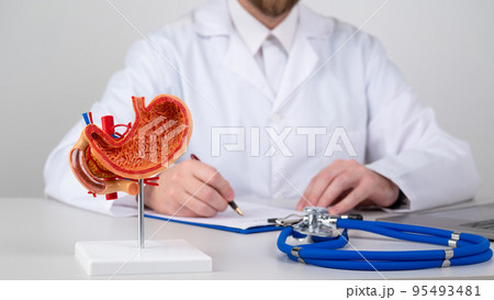 mockup stomach on work desk of doctor mockup stomach on work desk of doctor 95493481
