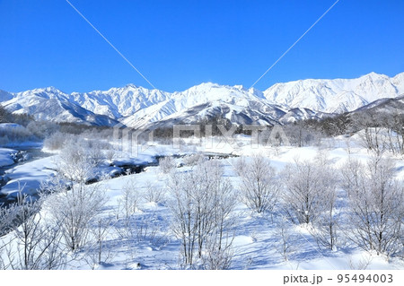 白馬・松川の霧氷と北アルプス 95494003