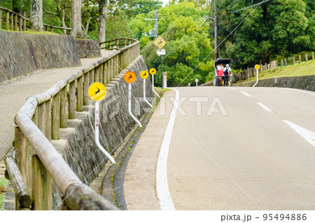 【奈良県】奈良公園 95494886