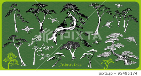 japan tree japan tree 95495174