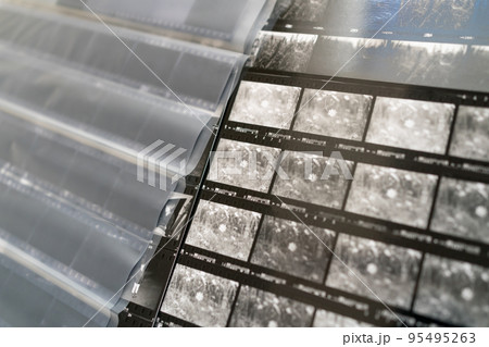 モノクロフィルムを整理 95495263