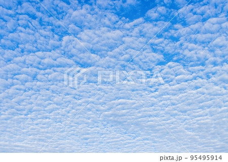 うろこ雲が広がる空 95495914