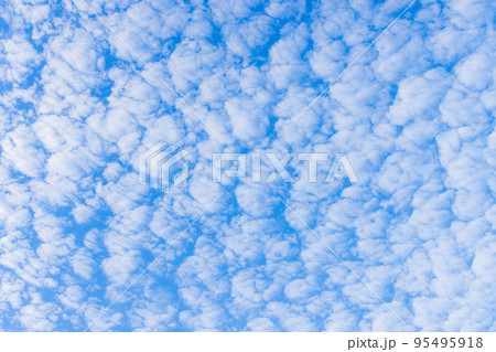 うろこ雲が広がる空 95495918