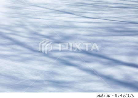 長野県 北アルプス 上高地 雪面に伸びる木の影 長野県 北アルプス 上高地 雪面に伸びる木の影 95497176