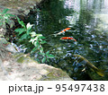 赤い鯉と池 95497438
