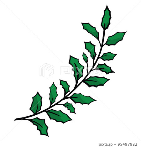 Christmas holly leaves with red berries 95497932