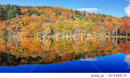 紅葉の小鳥ヶ池 95498674