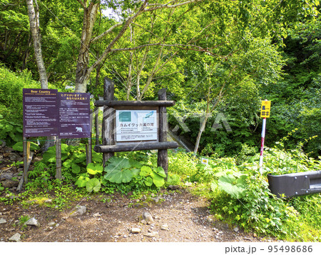 カムイワッカ湯の滝（北海道斜里町） 95498686