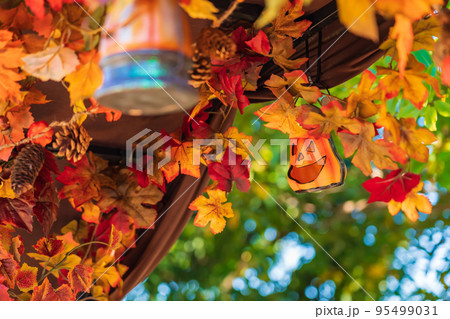 ハロウィン・晩秋イメージ ハロウィン・晩秋イメージ 95499031