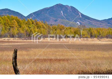 秋　奥日光　小田代原 95499041