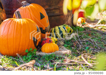 ハロウィン・晩秋イメージ ハロウィン・晩秋イメージ 95499090