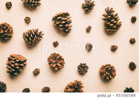 pine cones on colored table. natural holiday background with pinecones grouped together. Flat lay. Winter concept pine cones on colored table. natural holiday background with pinecones grouped together. Flat lay. Winter concept 95500599