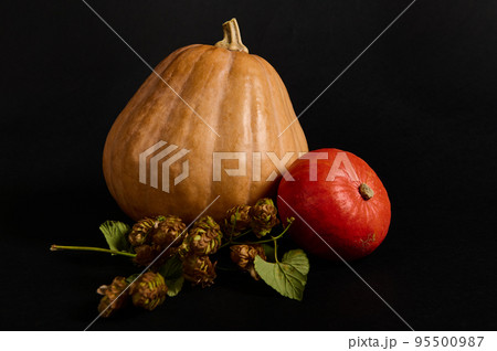 Still life. Horizontal studio shot: whole pumpkins of various sizes and hop cones - humulus lupulus, isolated on black background. Craft from vegetables - a witch on broomstick. Halloween Thanksgiving 95500987
