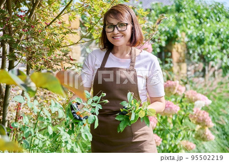 Portrait of gardener woman in apron gloves caring for rose bush in garden. Portrait of gardener woman in apron gloves caring for rose bush in garden. 95502219