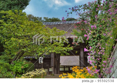 山門を飾る秋の花 95502538