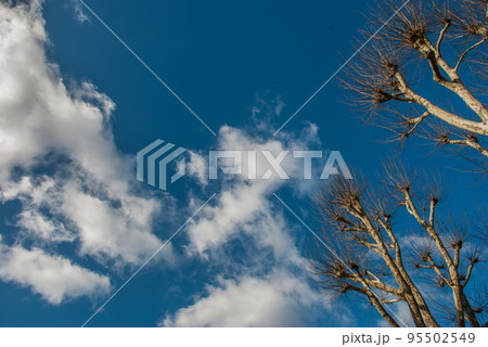 blue sky with cloud blue sky with cloud 95502549