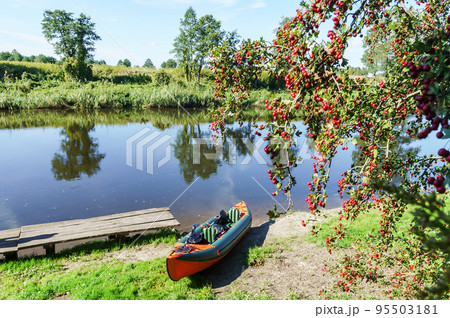 Canoeing trip on the river. Rafting in kayaks. Active recreation on the water. Canoeing trip on the river. Rafting in kayaks. Active recreation on the water. 95503181