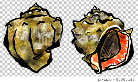 赤西貝(赤西貝)的手繪插圖(毛筆書寫 sumi-e 風格) 赤西貝(赤西貝)的手繪插圖(毛筆書寫 sumi-e 風格) 95503188