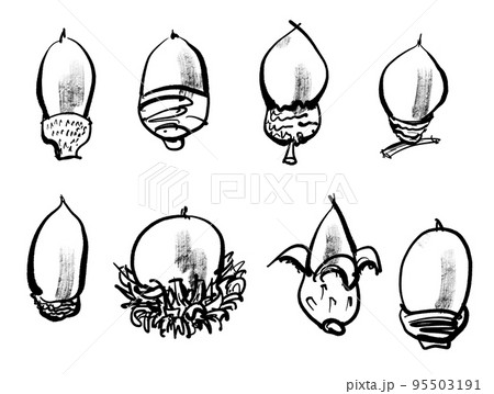 どんぐりの手書きイラスト（筆書き墨絵風）のイラスト素材 [95503191