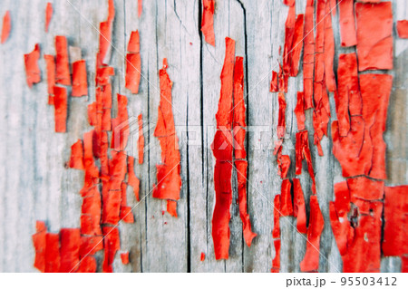 Natural texture for background and design. Old cracked flaking bright red paint on wooden wall or door. Weathered rough painted surface with patterns of cracks and peeling. Soft selective focus, macro Natural texture for background and design. Old cracked flaking bright red paint on wooden wall or door. Weathered rough painted surface with patterns of cracks and peeling. Soft selective focus, macro 95503412