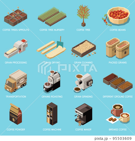 Coffee Production Industry Isometric Icons Coffee Production Industry Isometric Icons 95503609