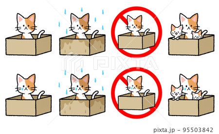 捨て猫のセット 95503842