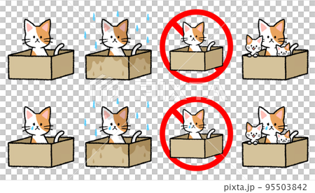 捨て猫のセット 95503842