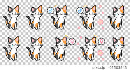 三毛猫のセット 95503843