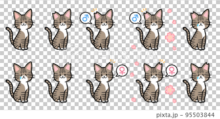 キジトラ猫のセット 95503844