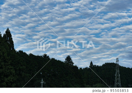 写真　イルカが空を飛んでいるような雲　 95503853