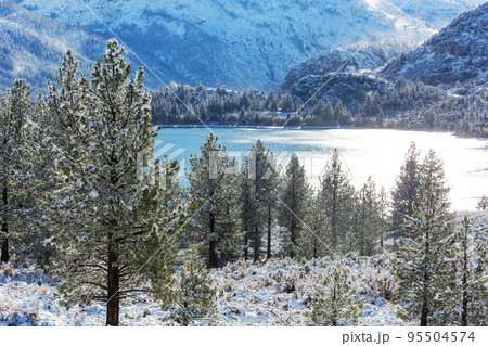 Winter lake 95504574