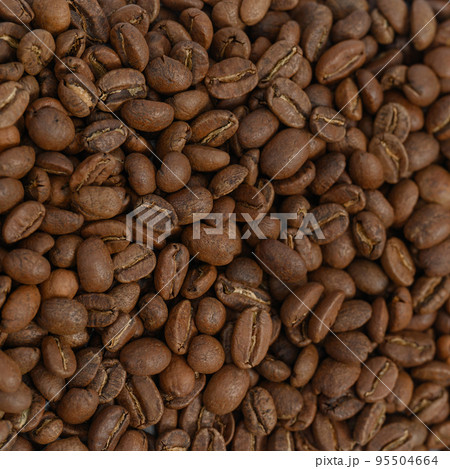 Texture of roasted coffee beans, place for inscription and advertisement. 95504664