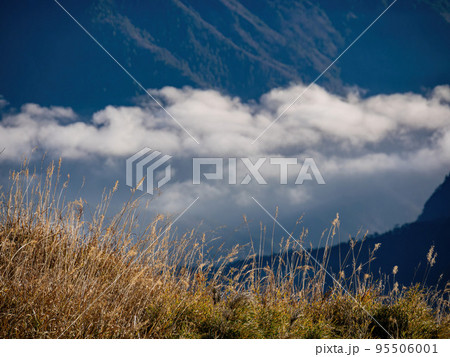 Sunrise beautiful landscape of Sea of clouds over Hehuanshan 95506001
