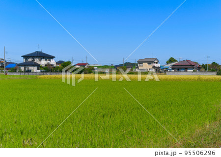 埼玉県吉川市の風景2022年10月 95506296