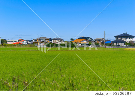 埼玉県吉川市の風景2022年10月 埼玉県吉川市の風景2022年10月 95506297
