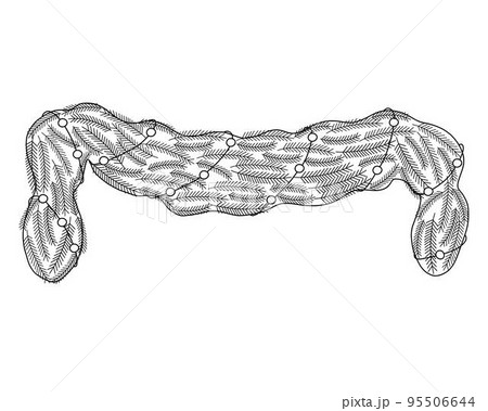 Christmas decorative festive garland of fir-tree branches doodle outline hand drawn vector illustration, holiday celebration image for greeting card, poster, home decor traditional seasonal elements Christmas decorative festive garland of fir-tree branches doodle outline hand drawn vector illustration, holiday celebration image for greeting card, poster, home decor traditional seasonal elements 95506644