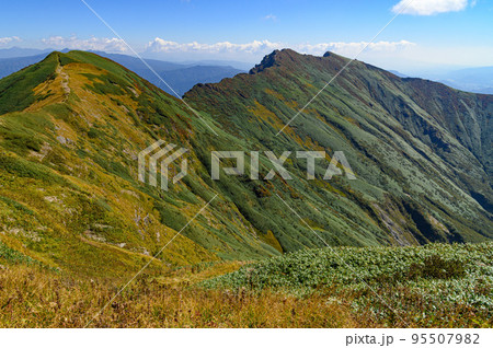 秋の谷川連峰・一ノ倉岳~谷川岳の稜線と紅葉 秋の谷川連峰・一ノ倉岳~谷川岳の稜線と紅葉 95507982